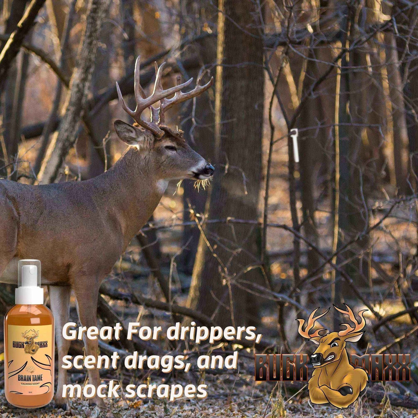 BuckMaxx Brain Tame Calming Scent - Hunting Game Supplies