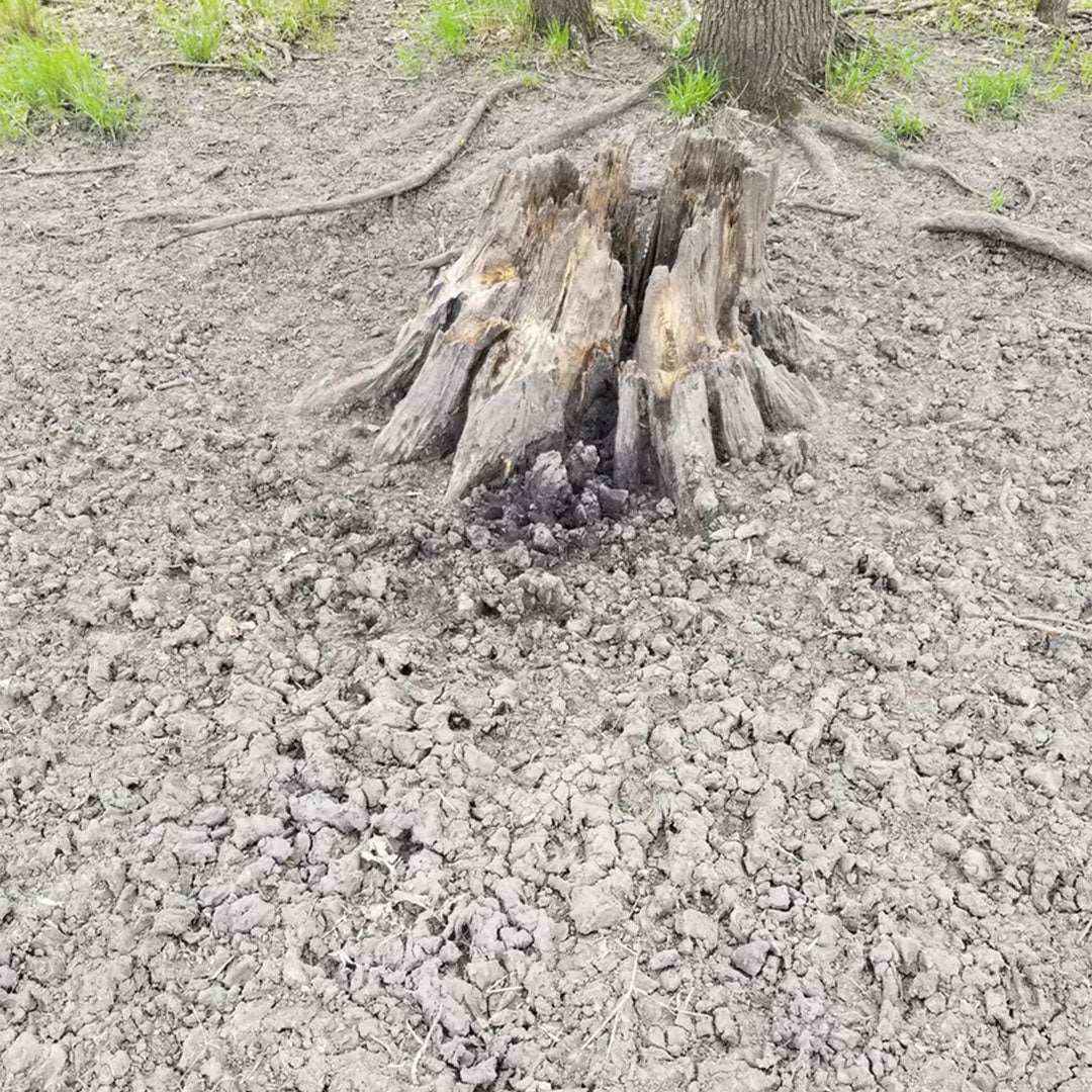 Deer Mineral Site Jinx'em Scents