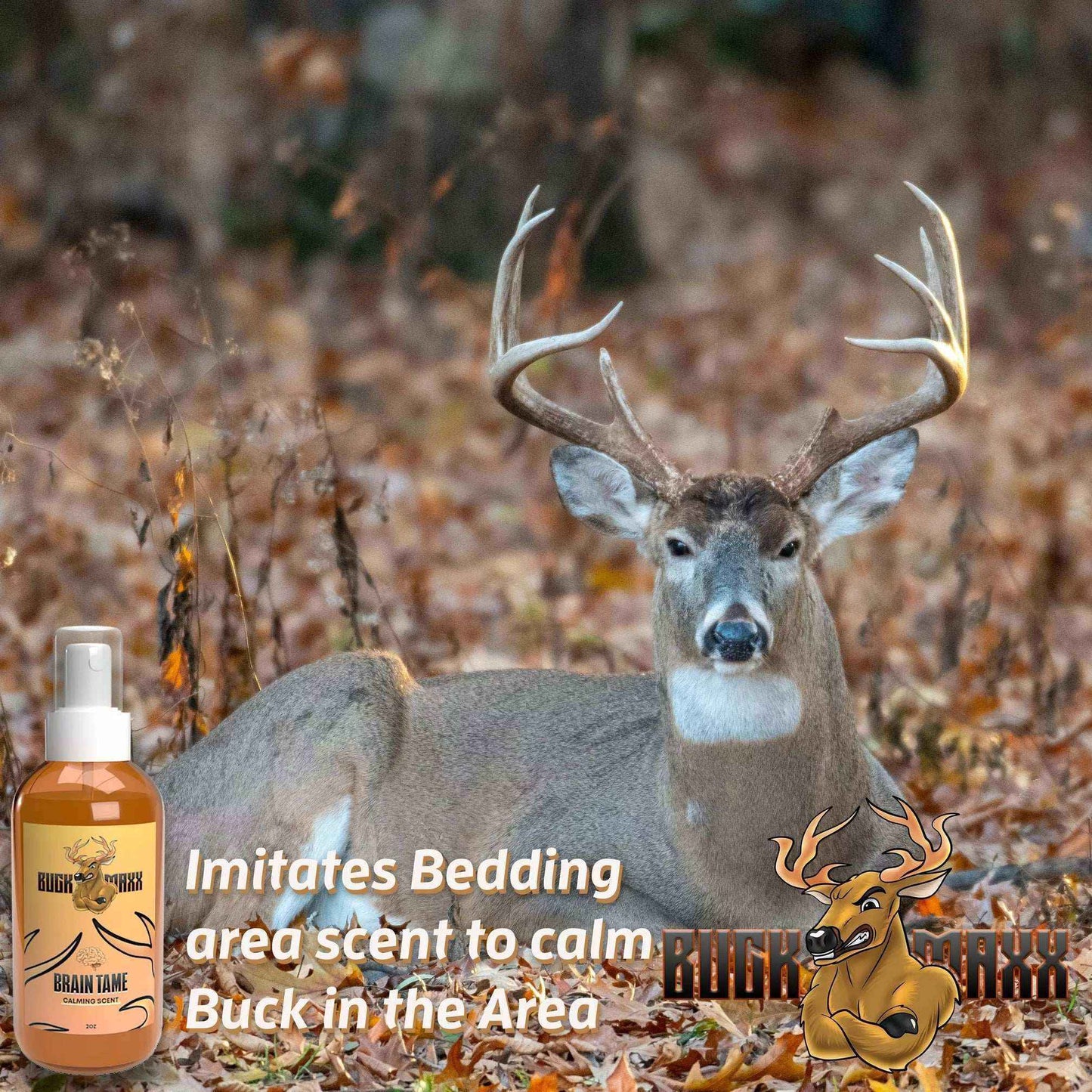 BuckMaxx Brain Tame Calming Scent - Hunting Game Supplies