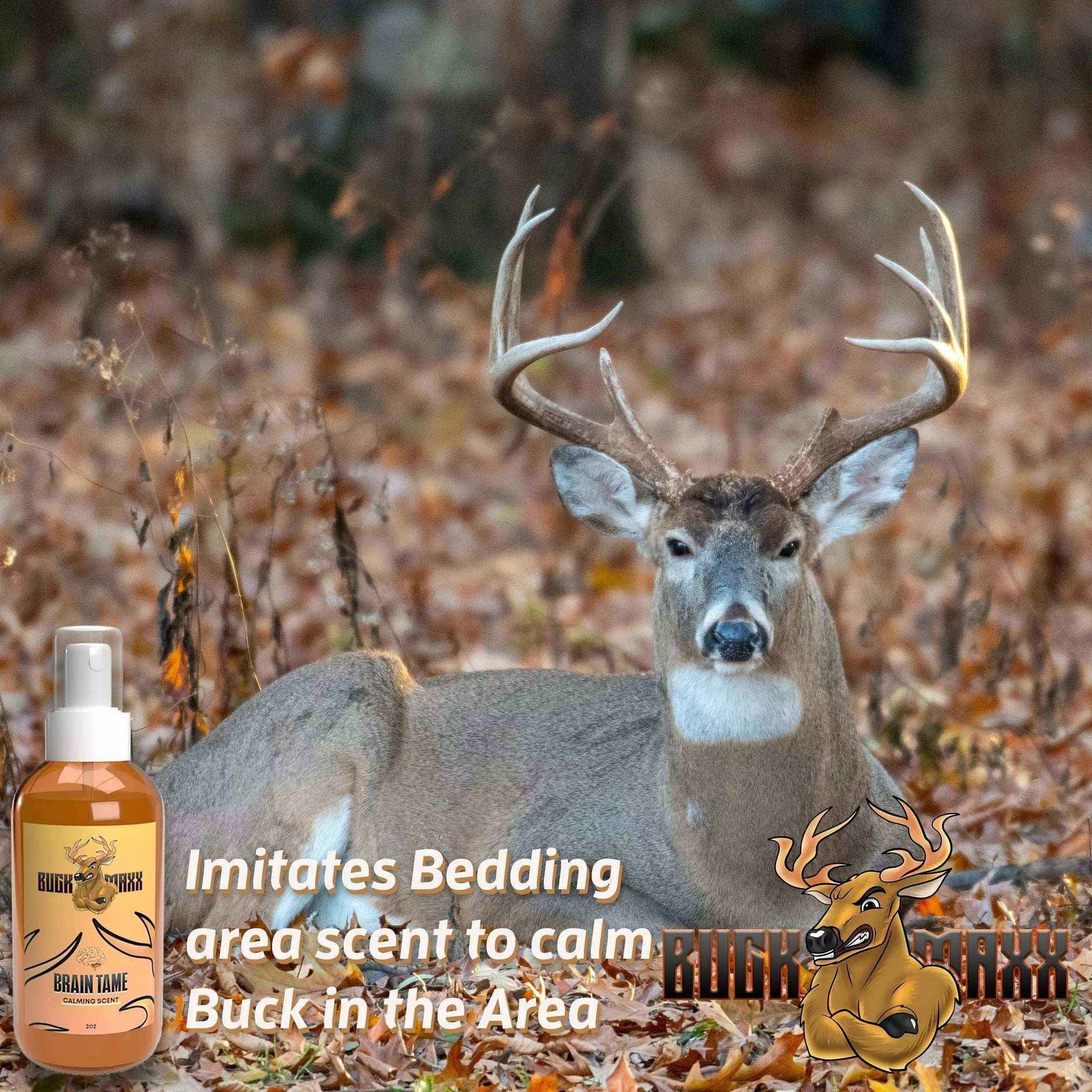 BuckMaxx Brain Tame Calming Scent - Hunting Game Supplies