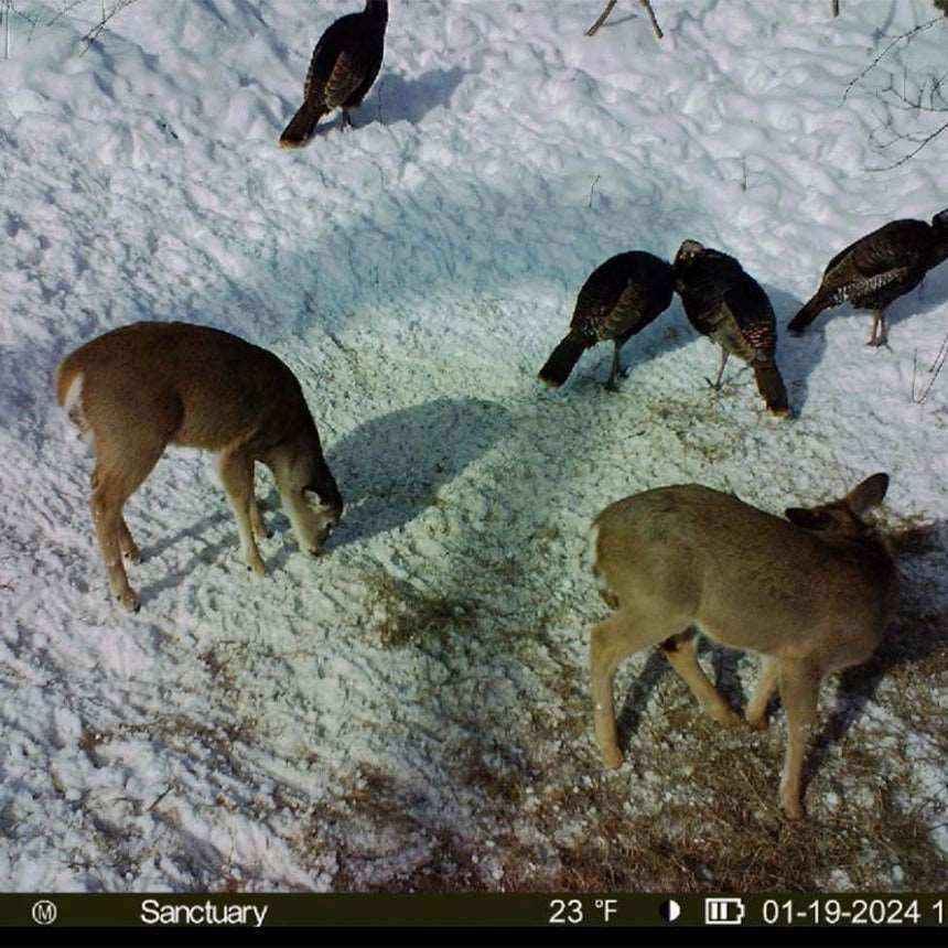 Munchies Deer Feed Jinx'em Scents