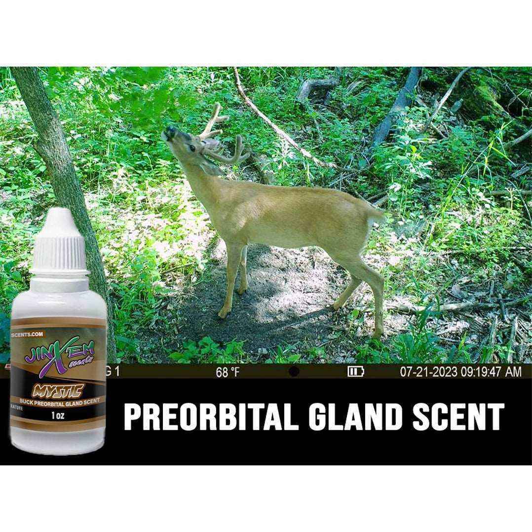 Mystic Preorbital Gland Scent - Deer Scent Gland