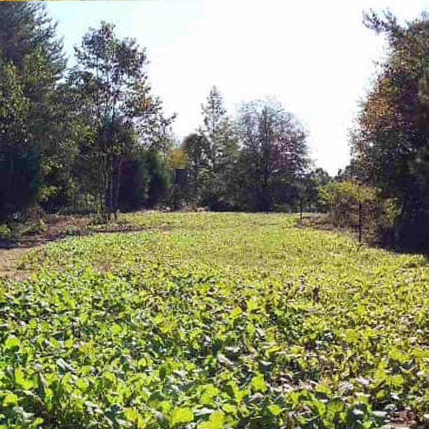 Rack Xploder Fall Blend Jinx'em Scents