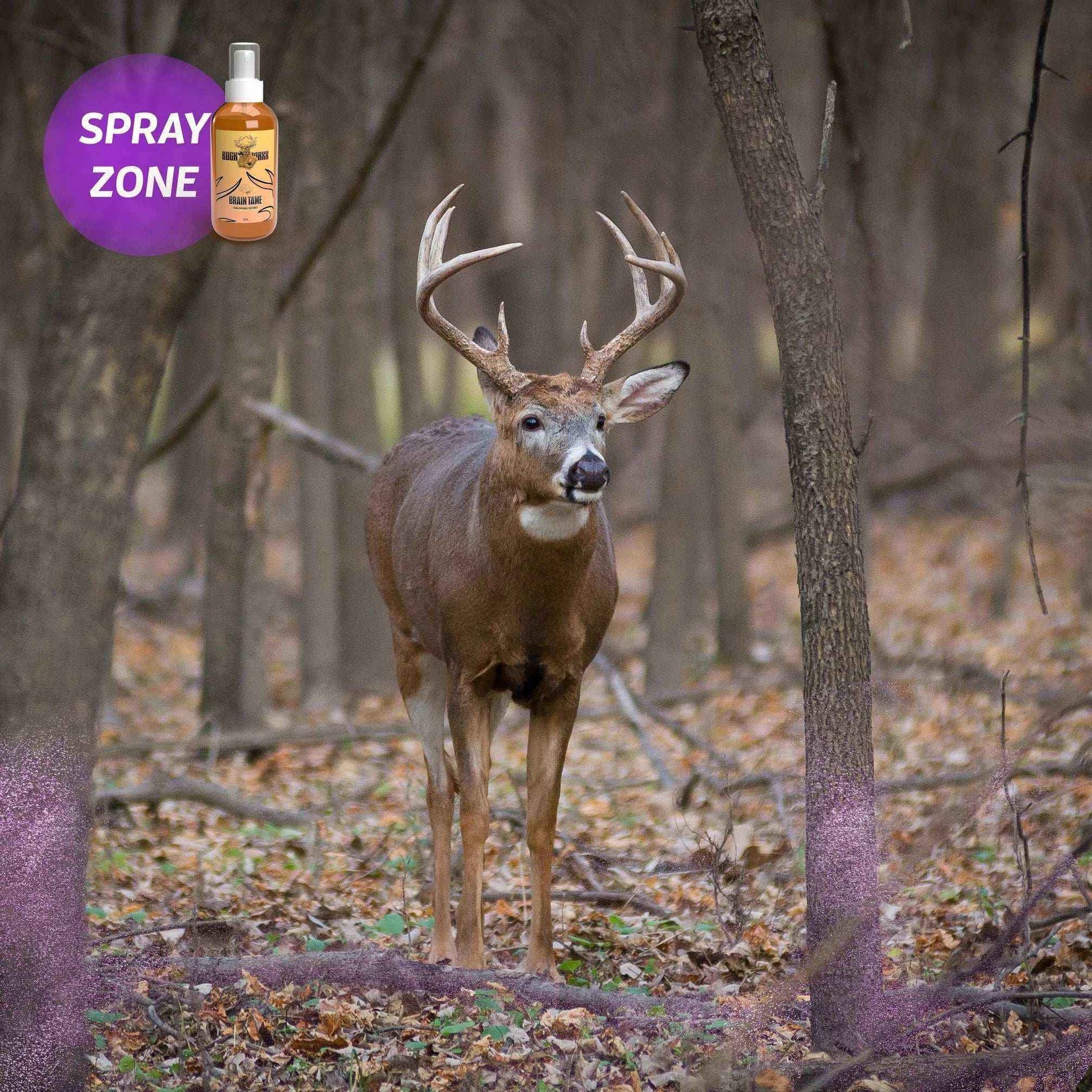 BuckMaxx Brain Tame Calming Scent - Hunting Game Supplies