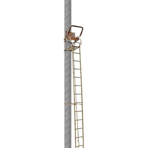 Trophy Treestands Mountaineer 20ft ladder stand showing full height installation on tree