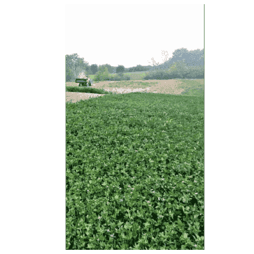 Food Plot Seed - Xtream Perennial