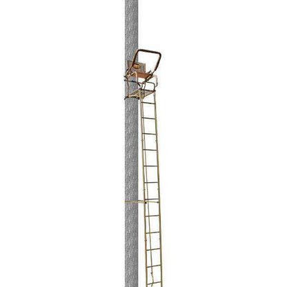 Trophy Treestands Mountaineer 20ft ladder stand showing full height installation on tree