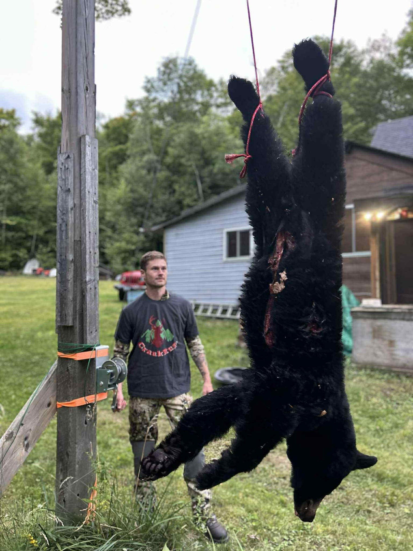 CrankRup hoist in use hoisting black bear