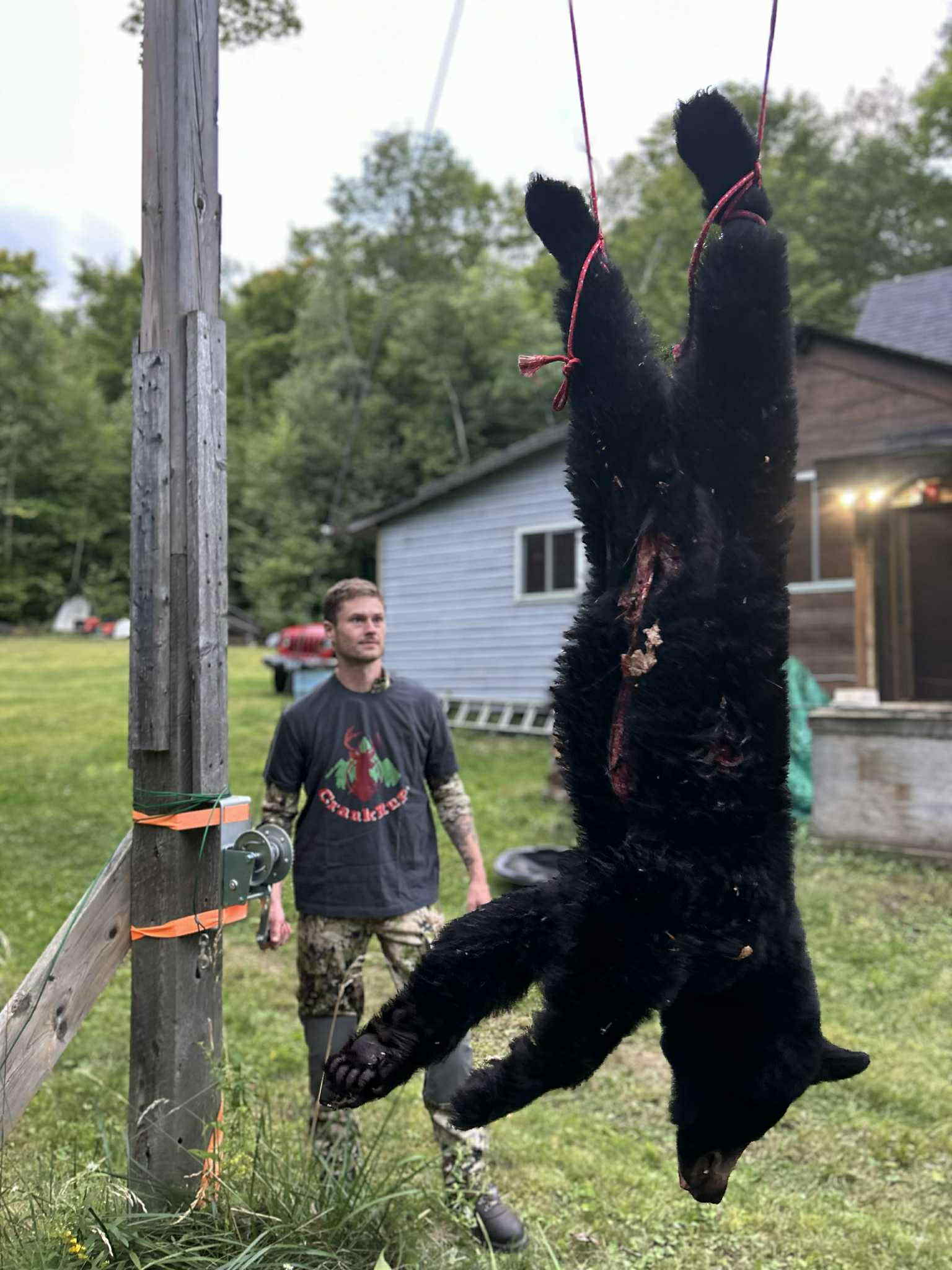 CrankRup hoist in use hoisting black bear